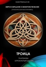 Миросозерцание и Жизнечувствование (практическая метафизика). Часть I. Троица. Платон, опрокинутый в жизнь