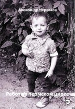 Работа в пермском цирке