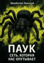 Паук: Сеть, Которая Нас Опутывает