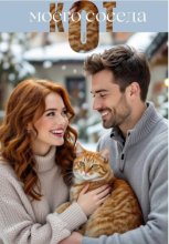 Кот моего соседа