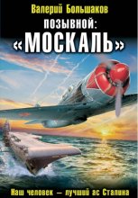 Позывной: «Москаль»