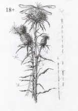 Мальчик и фея