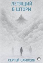 Летящий в шторм