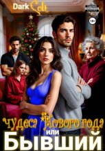 Бывший или чудеса Нового Года