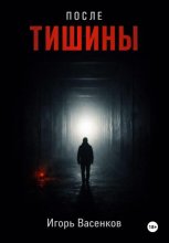 После тишины