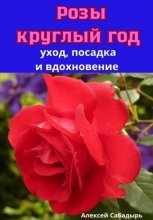 Розы круглый год уход, посадка и вдохновение