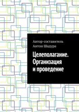 Целеполагание. Организация и проведение