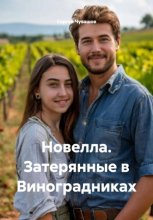 Новелла. Затерянные в Виноградниках