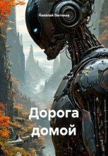 Дорога домой