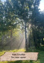 Что такое дерево?