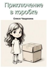 Приключение в коробке