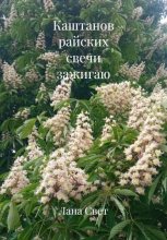 Каштанов райских свечи зажигаю