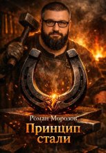 Принцип стали