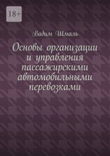 Основы организации и управления пассажирскими автомобильными перевозками