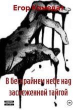 В бескрайнем небе над заснеженной тайгой