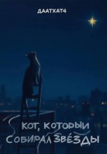 Кот, который собирал звезды