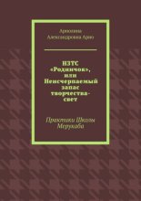 НЗТС «Родничок», или Неисчерпаемый запас творчества-свет. Практики Школы Мерукаба