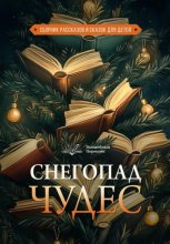 Волшебный переплёт. Снегопад чудес