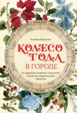 Колесо Года в городе: от древних секретов сезонной магии до современных практик