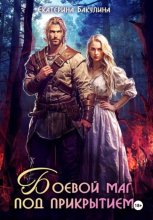 Боевой маг под прикрытием