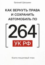 Как вернуть права и сохранить автомобиль по 264 УК