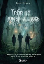 Тебе не померещилось. Мистические истории из самых загадочных мест Нижегородской области