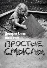 Простые смыслы. Сборник стихов