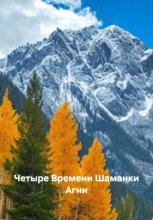 Четыре Времени Шаманки Агни