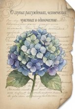 О глупых рассуждениях, человеческих чувствах и одиночестве