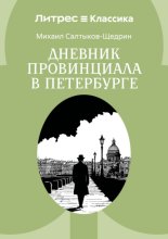 Дневник провинциала в Петербурге