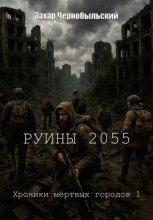 Руины 2055. Хроники мёртвых городов 1