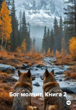 Бог молчит. Книга 2