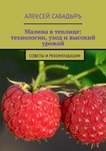 Малина в теплице: технологии, уход и высокий урожай. Советы и рекомендации