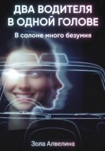 Два водителя в одной голове. В салоне много безумия