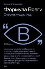 Формула Волги. Очерки художника