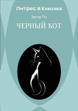 Черный кот