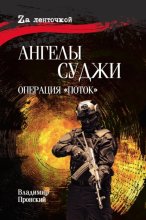 Ангелы Суджи. Операция «Поток»