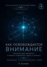Протокол спокойствия в мире перегрузки 3