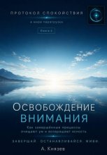 Протокол спокойствия в мире перегрузки 6