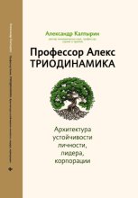 Профессор Алекс. Триодинамика. Архитектура устойчивости личности, лидера и корпорации