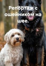 Репортаж с ошейником на шее
