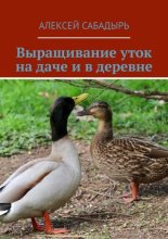 Выращивание уток на даче и в деревне