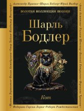 Кот