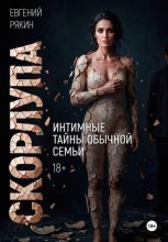 Скорлупа