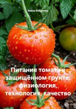 Питание томата в защищённом грунте: физиология, технология, качество