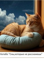 Сны, которые не расскажешь