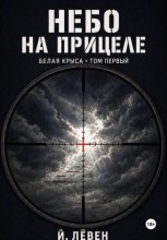 Небо на прицеле