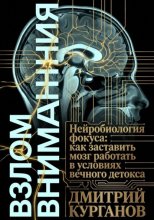 Взлом внимания. Нейробиология фокуса: как заставить мозг работать в условиях вечного детокса