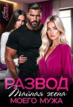 Развод. Тайная жена моего мужа