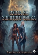 Тень и Меч